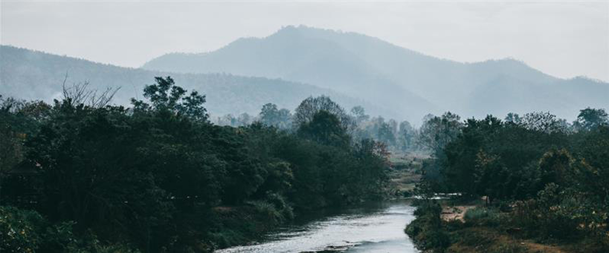 Things to Do in Poomala for a Peaceful One-Day Trip