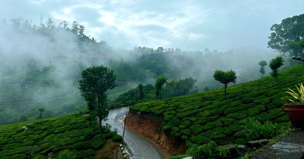 Monsoon Tourism in Kerala – Experience the Beauty of Kerala During Rainy Season