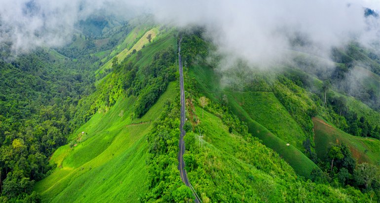 Monsoon Tourism in Kerala – Experience the Beauty of Kerala During Rainy Season