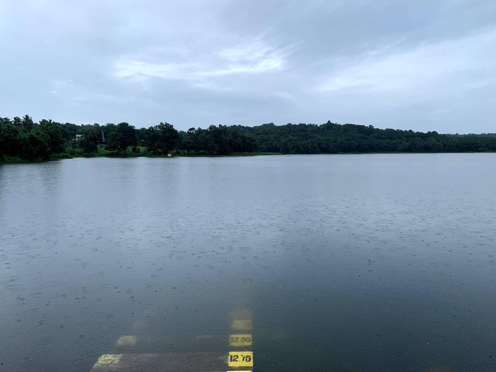 Explore the Natural Beauty of Pathazhakundu Dam, Thrissur