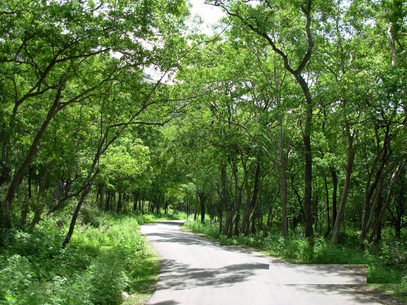 Understanding Poomala Climate: Why This Hill Destination Stays Cool and Misty