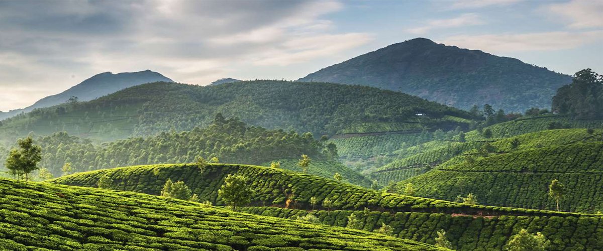 Top 10 Hill Stations in Kerala: Explore the Most Scenic Escapes in God’s Own Country