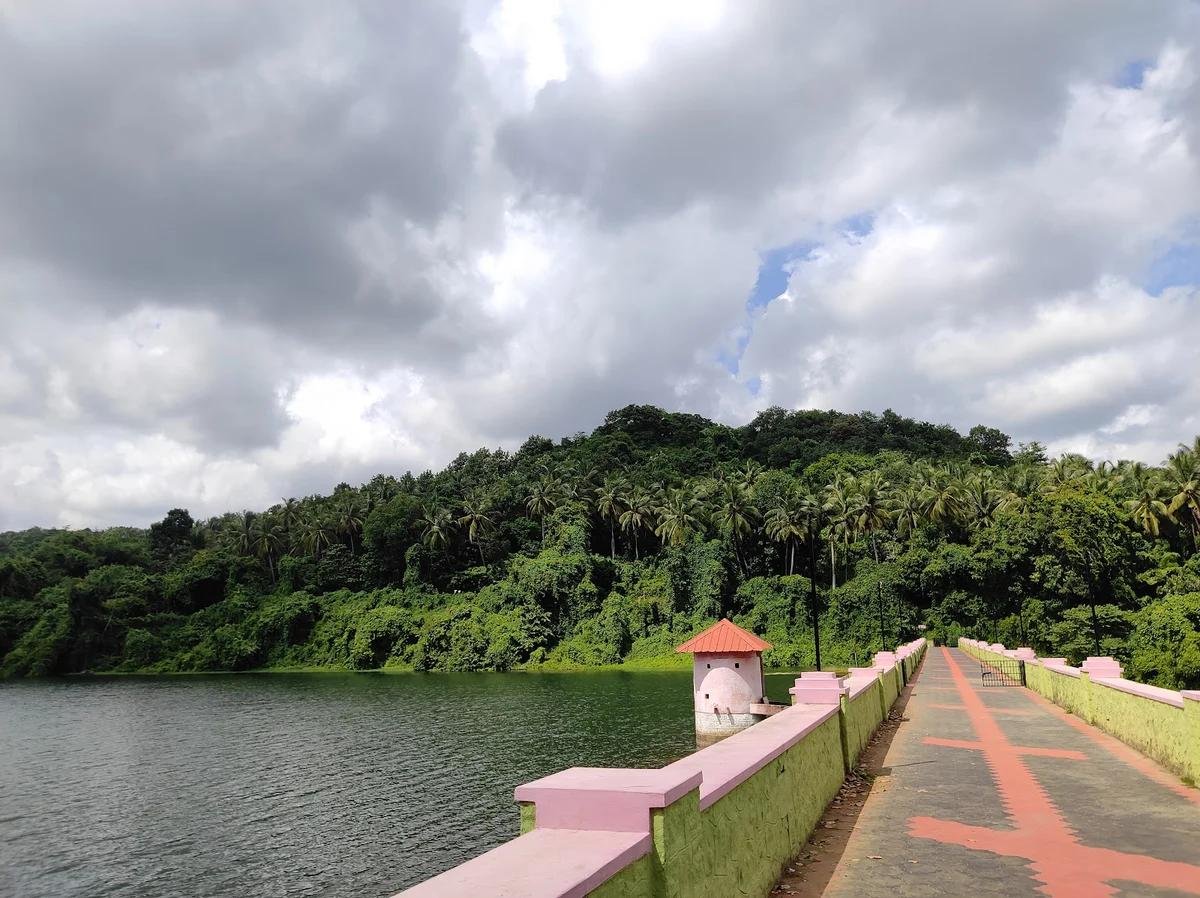 Explore the Natural Beauty of Pathazhakundu Dam, Thrissur