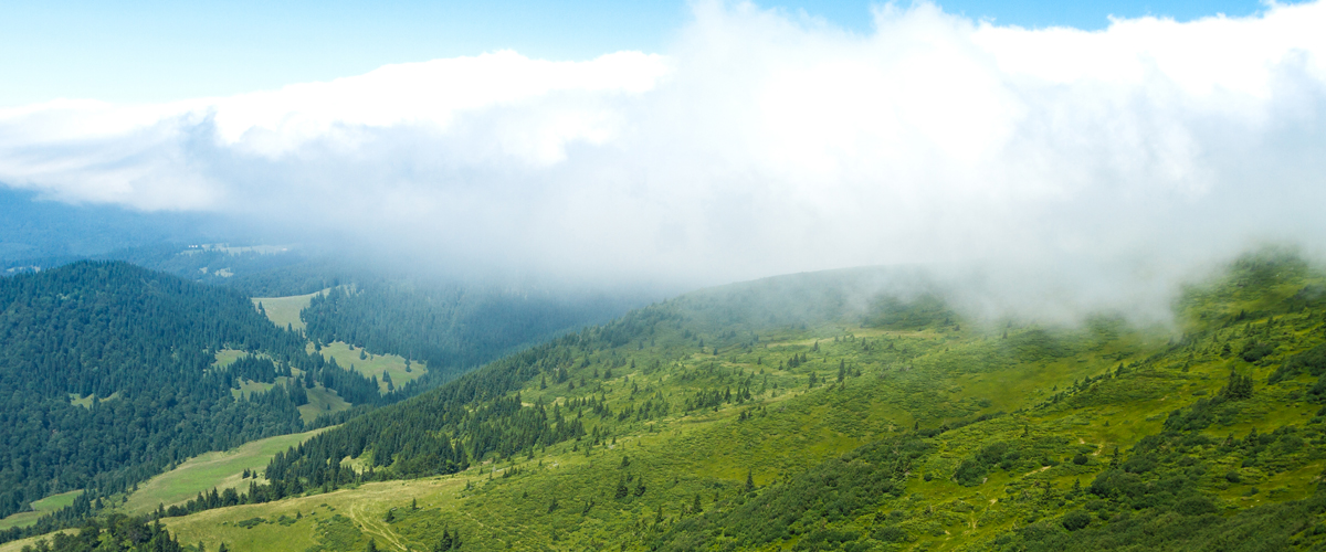 Top 7 Hill Destinations in Thrissur for Peaceful Nature Getaways