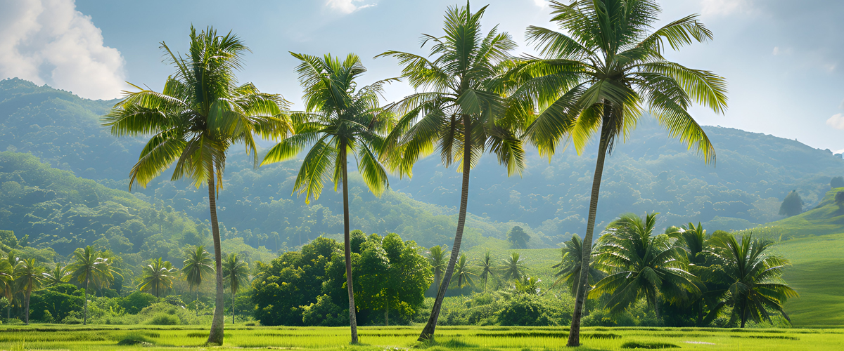 Homestay in Kerala: Why It’s Better Than Staying in a Hotel