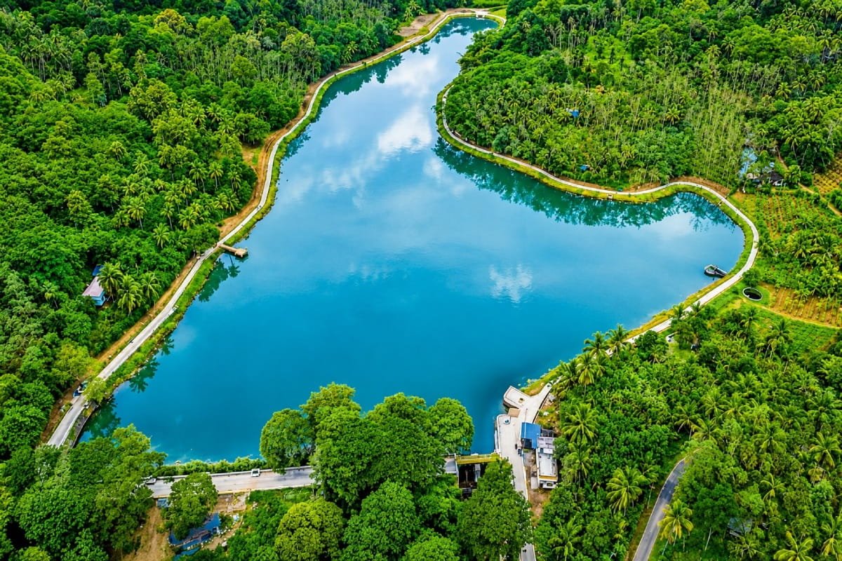 Kachithod Dam Thrissur – A Hidden Tourist Place Surrounded by Nature