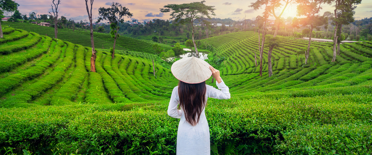 Top 10 Places to Visit in Kerala for Every Traveler