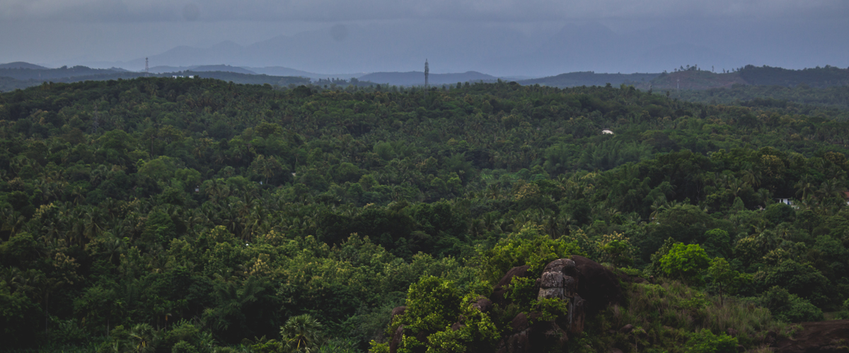 Understanding Poomala Climate: Why This Hill Destination Stays Cool and Misty