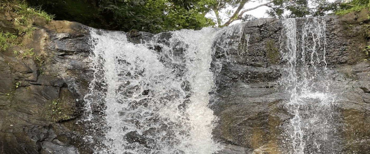 Vattai Waterfalls Kerala: Discover the Hidden Paradise of Nature