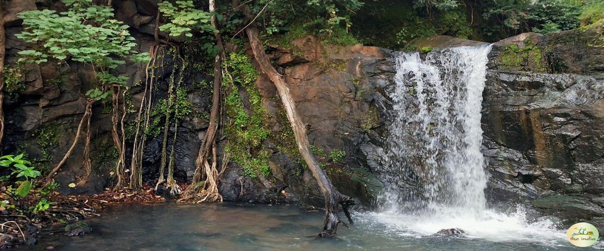 Vattai Waterfalls Kerala: Discover the Hidden Paradise of Nature